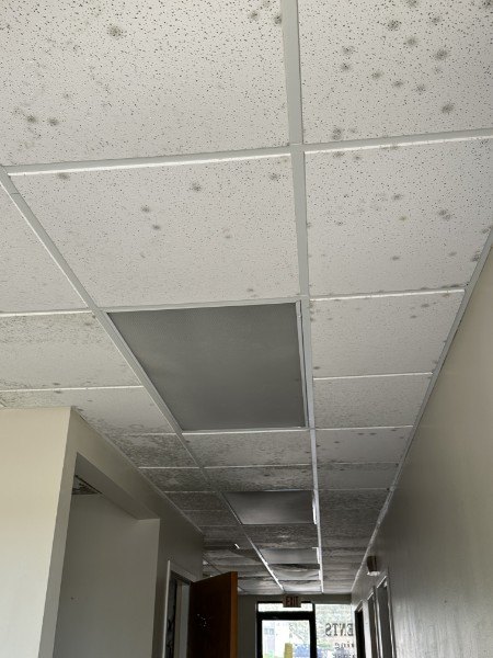 Ceiling water stain and mold damage from a slow roof leak, Wesley Chapel home