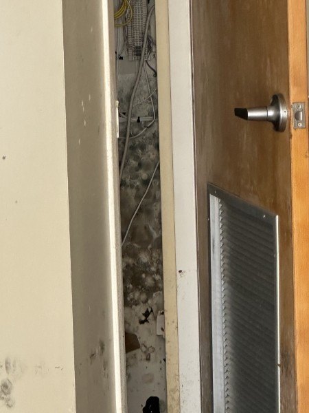 Mold growth found behind drywall during an AIM inspection, Tampa Bay home