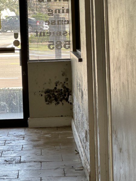 Mold on a wall around a leaking window in a Florida home